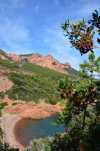 Massif de l'Esterel photo