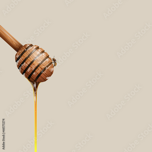 Honey dipper with bee