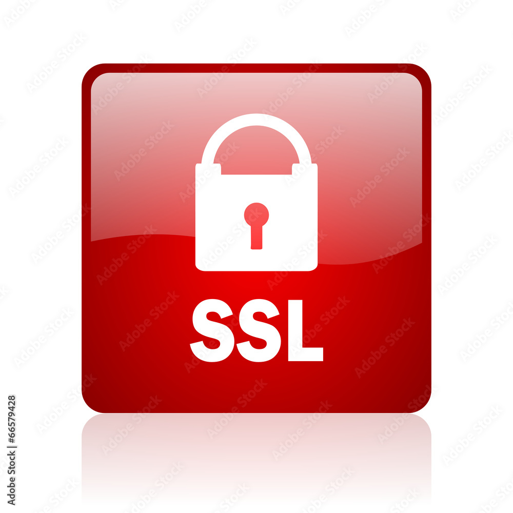 ssl computer icon on white background ssl computer icon on white background
