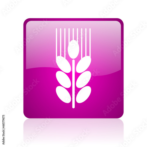 grain computer icon on white background