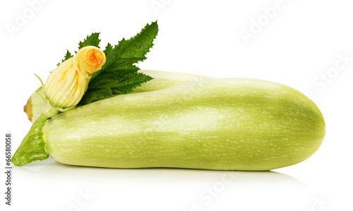 ripe zucchini with its flower on the white background