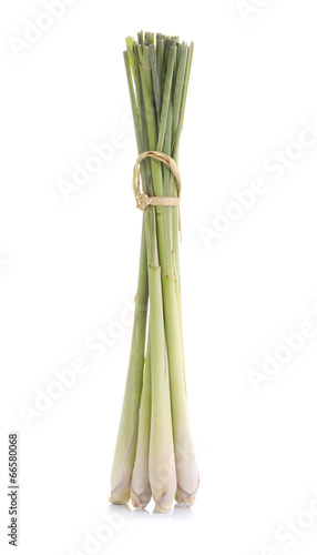 Lemon grass isolate on white background