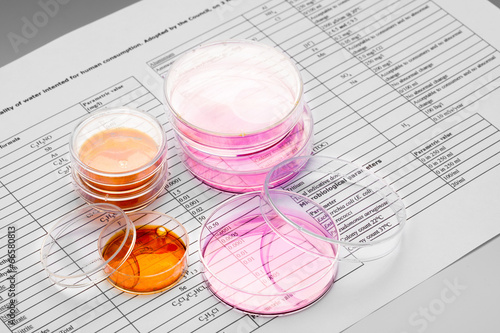 Petri dish for chemical and microbiological analysis photo