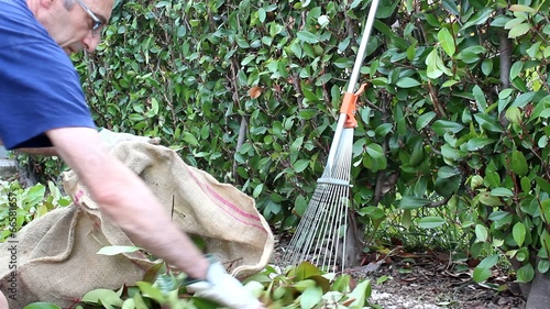 uomo che raccoglie le foglie