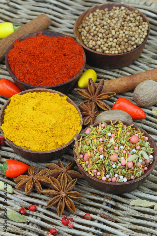 Selection of Indian spices and fresh chilies, close up Selection of Indian spices and fresh chilies, close up