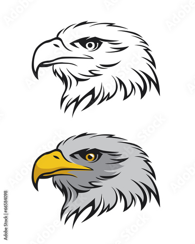 Eagle head