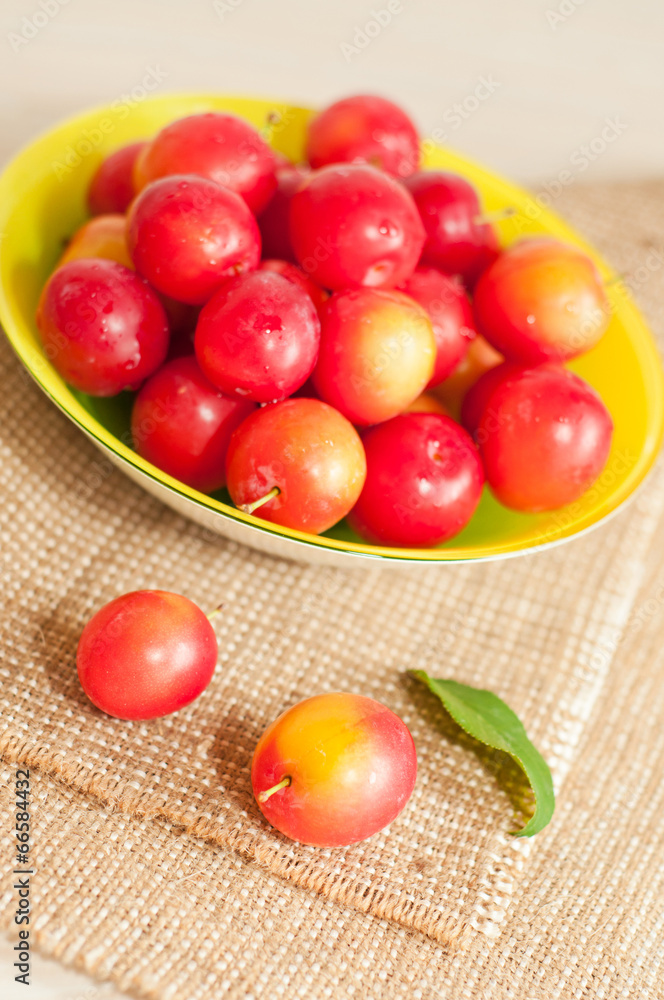 cherry-plums cherry-plums