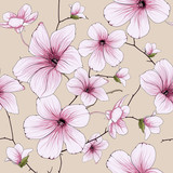 flower blossom illustration