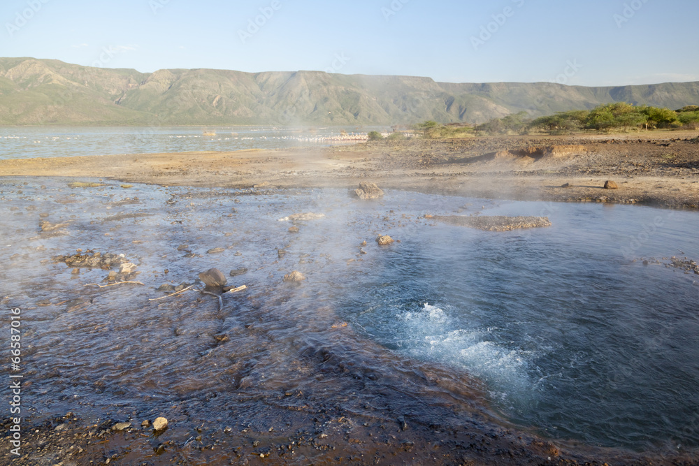 Hot springs at Lake Bogoria in Kenya.