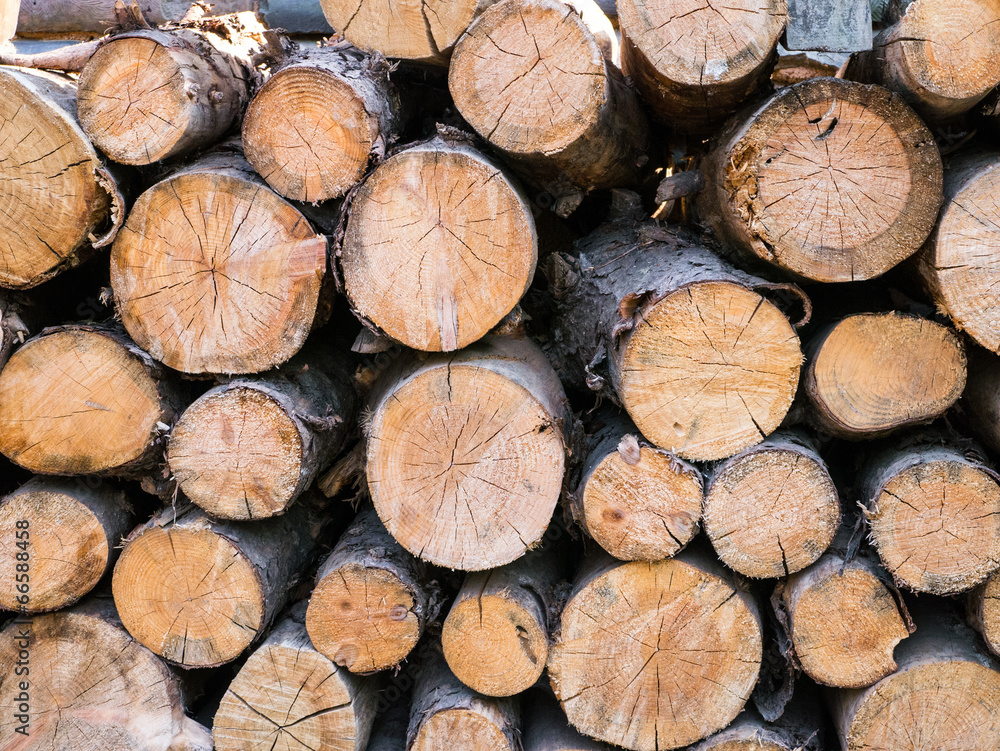 log pile log pile