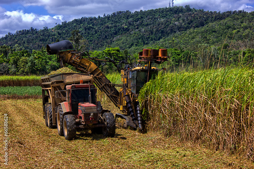 Sugar cane farming in Queensland
