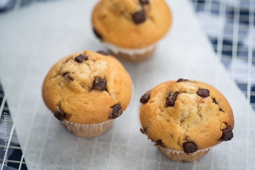 Home made tasty chocolate chip muffins on cooling rack