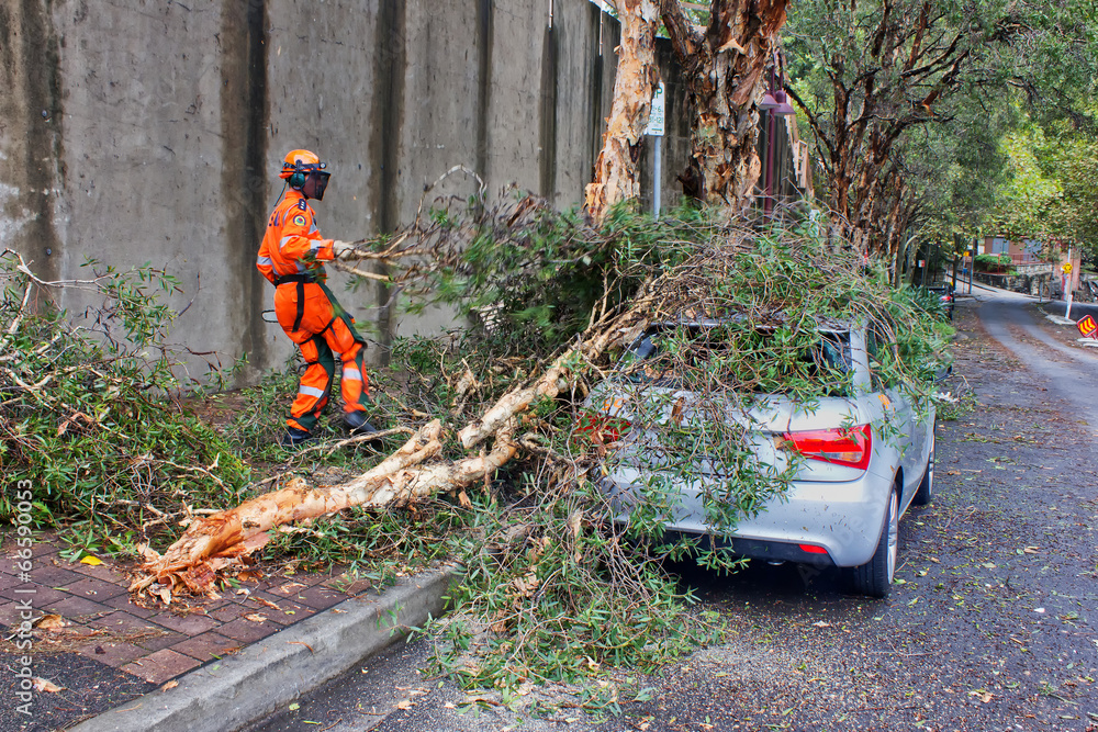 Fotografie Sydney SES volunteer clears fallen branches after mini-tornado