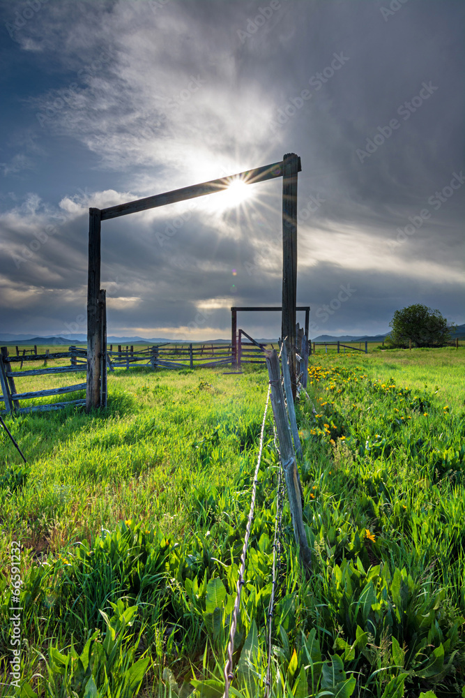 Farm corral with spring flowers and sun star