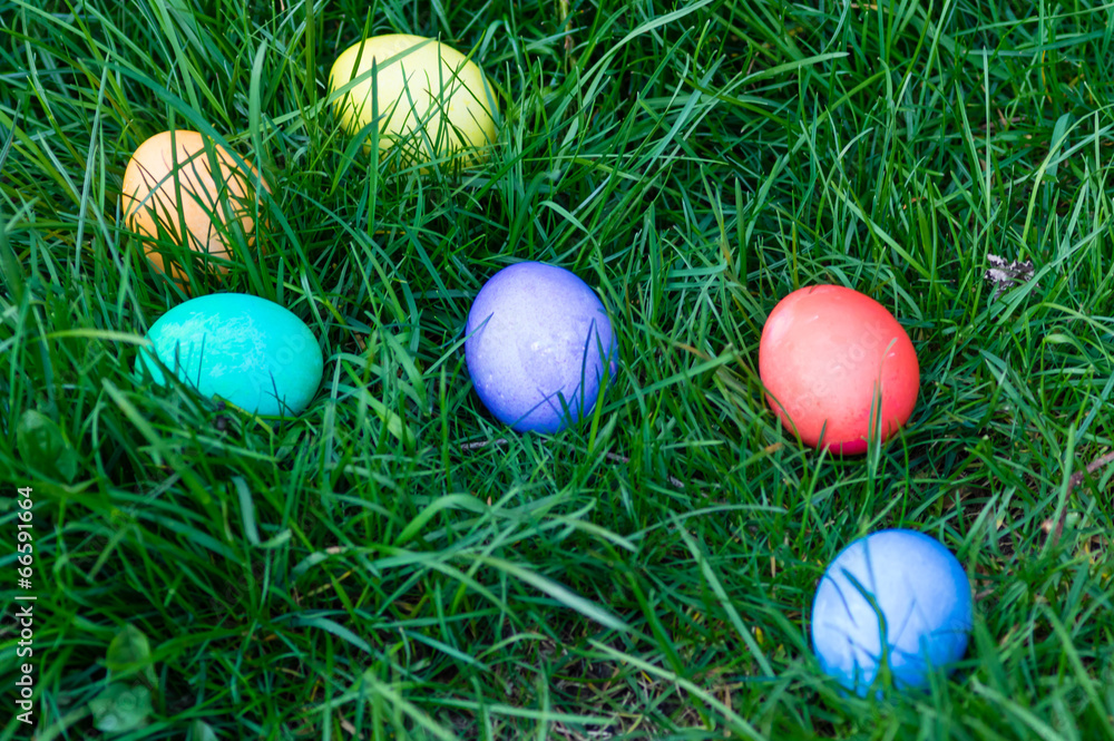 Easter eggs in a grassy lawn Easter eggs in a grassy lawn