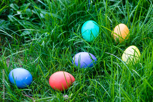 Easter eggs in a grassy lawn
