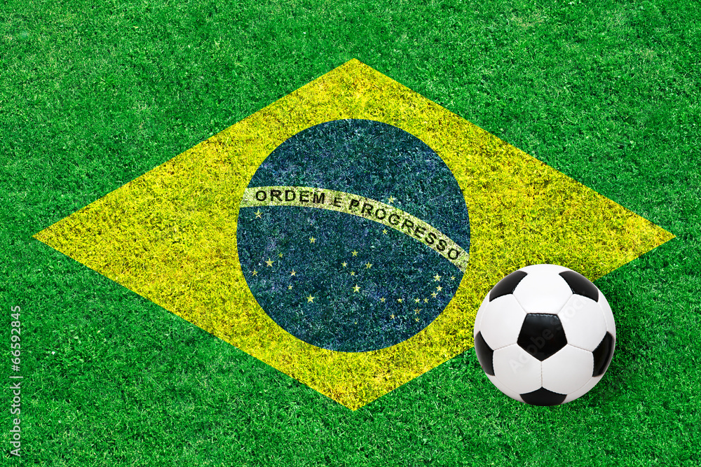 Fototapeta premium Brasilien Rasen mit Ball