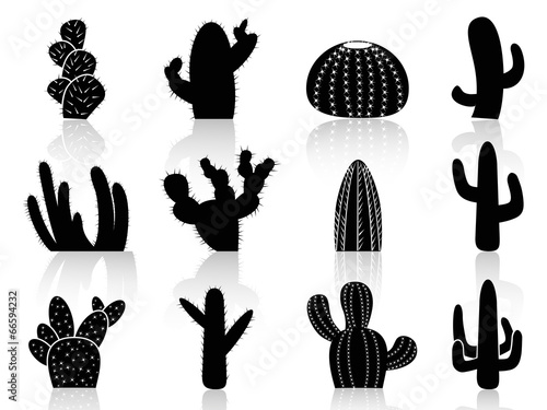 cactus Silhouettes