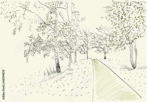 Summer landscape