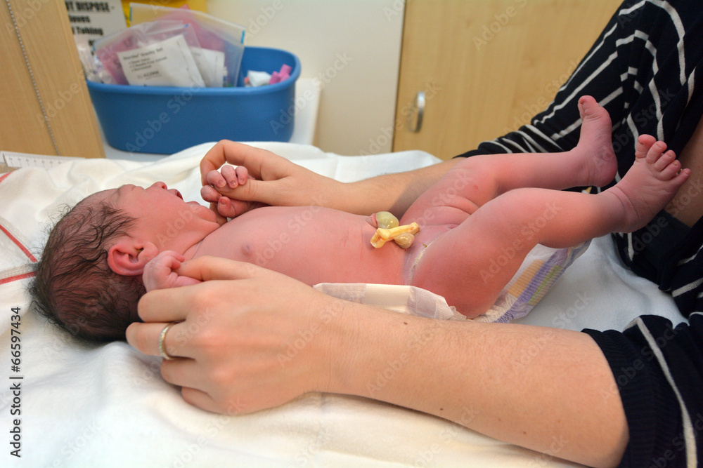 Pregnancy - Newborn baby Pregnancy - Newborn baby