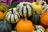 Colorful pumpkins collection on the market