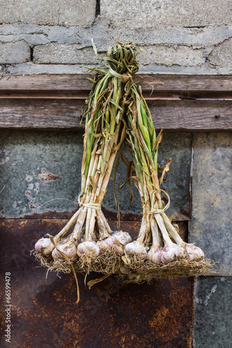 Garlic Hanging