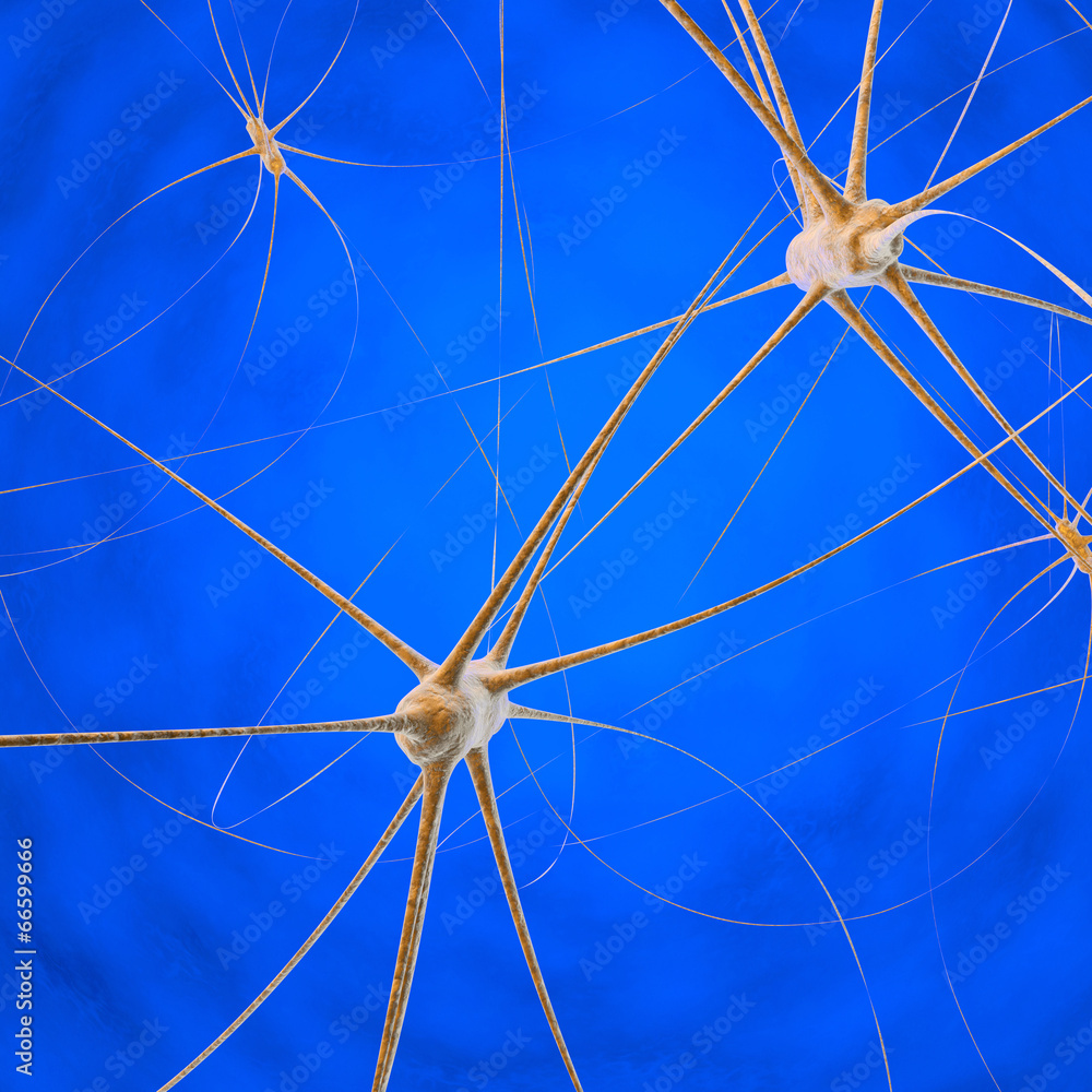 Fototapeta premium Neurons - 3D Render