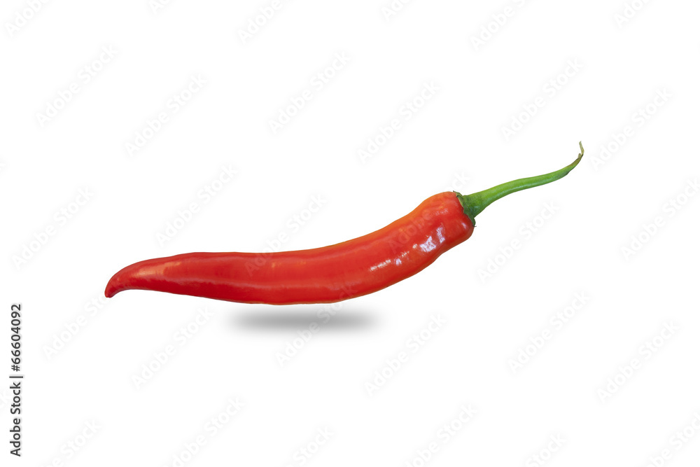 red hot chili pepper isolated on a white background (with clippi