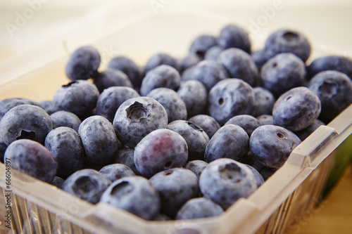 Wallpaper Mural Blueberries Torontodigital.ca