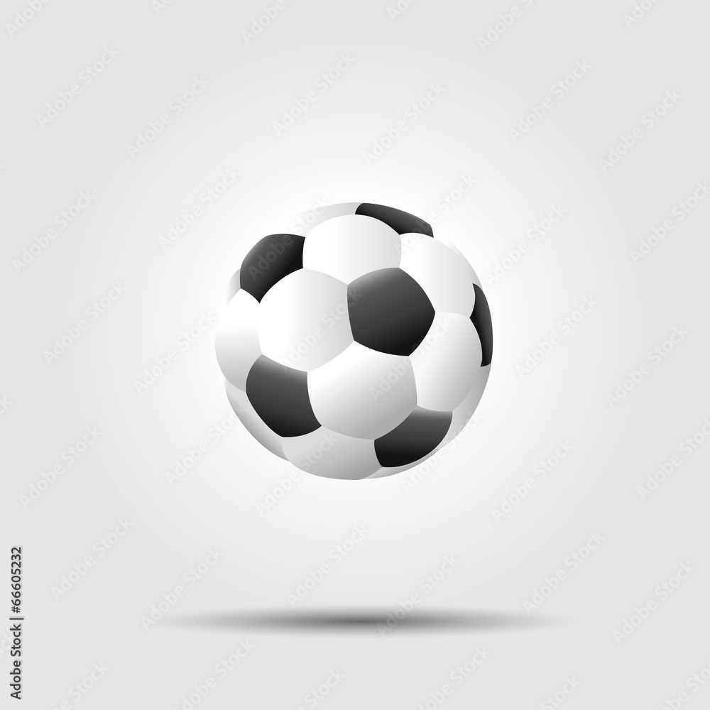 Fototapeta premium Soccer football ball on white background with shadow