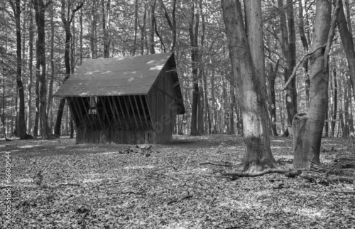 Feed trouhg in Little Carpathian  - west Slovakia photo