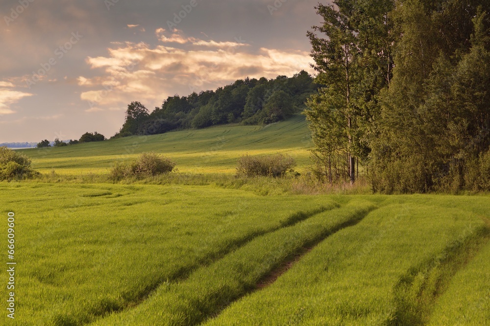 Fototapeta premium Beautiful landscape with fields and hills