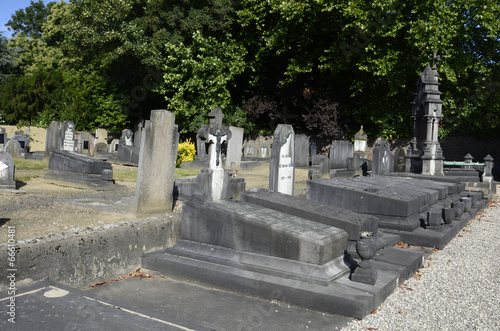 Cimetière de Berchem-Sainte-Agathe (Bruxelles) photo