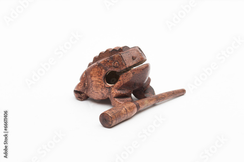frog on the white background