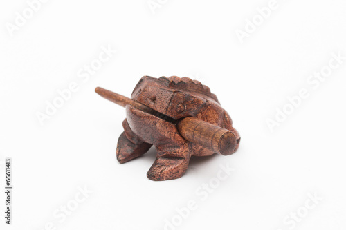 frog on the white background