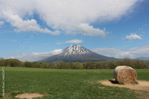 羊蹄山と草原と牧草ロール