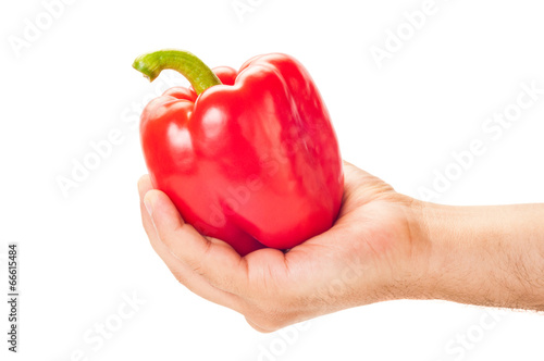Hand holding tide a big red pepper.