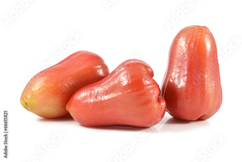 Rose apple on white background photo