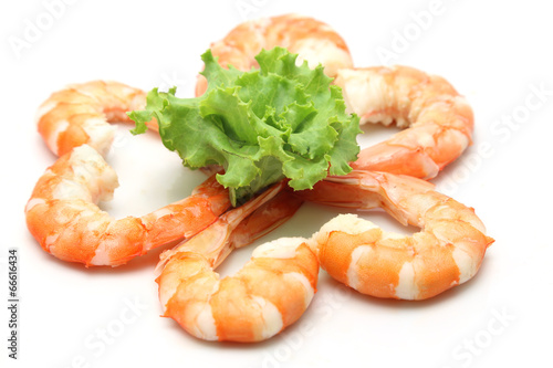 shrimp isolated on white background