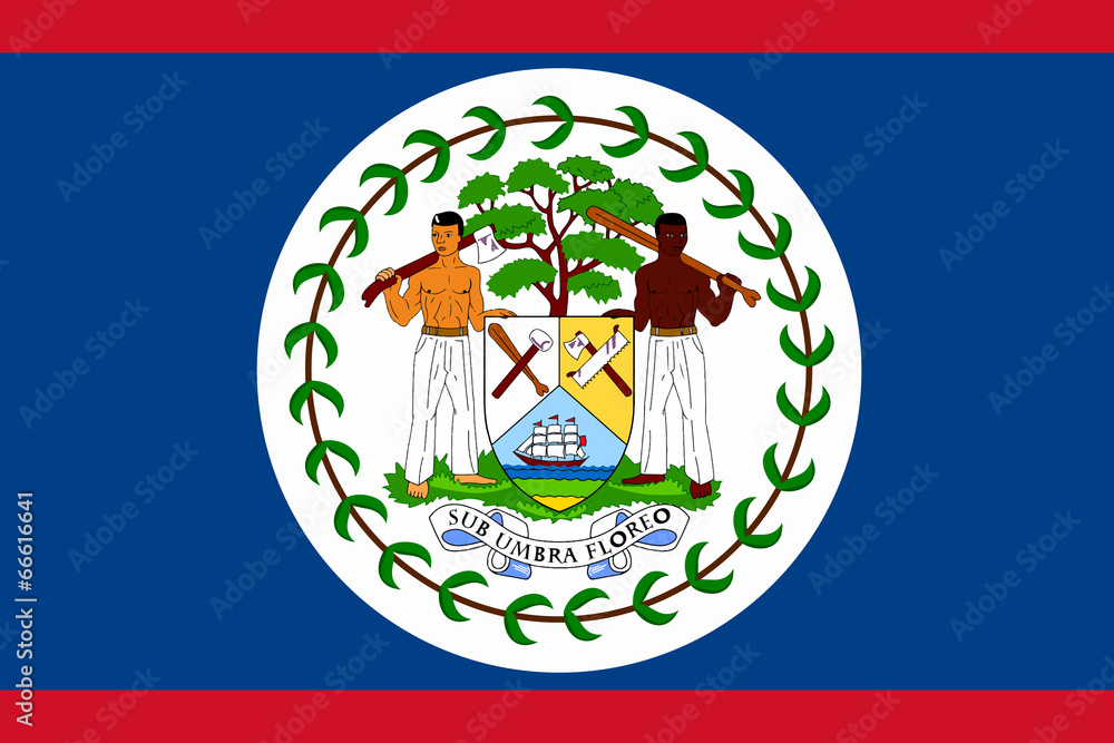 High detailed flag of Belize High detailed flag of Belize