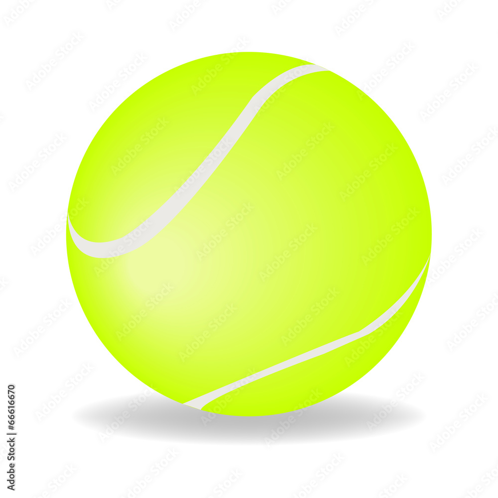Tennis ball vector