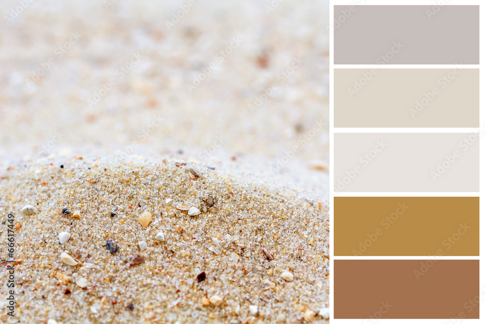 Sand background color palette with complimentary swatches. Photos | Adobe  Stock