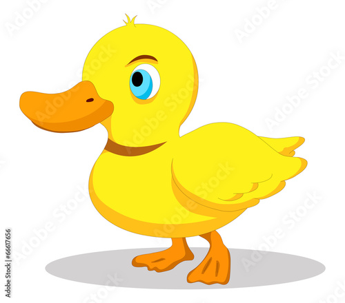 Cute baby duck cartoon