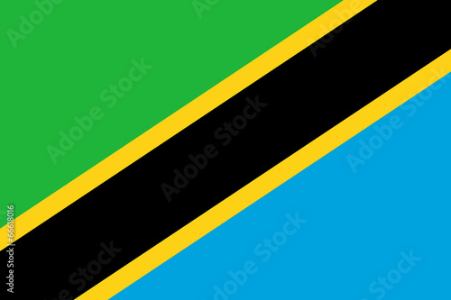 High detailed vector flag of Tanzania photo
