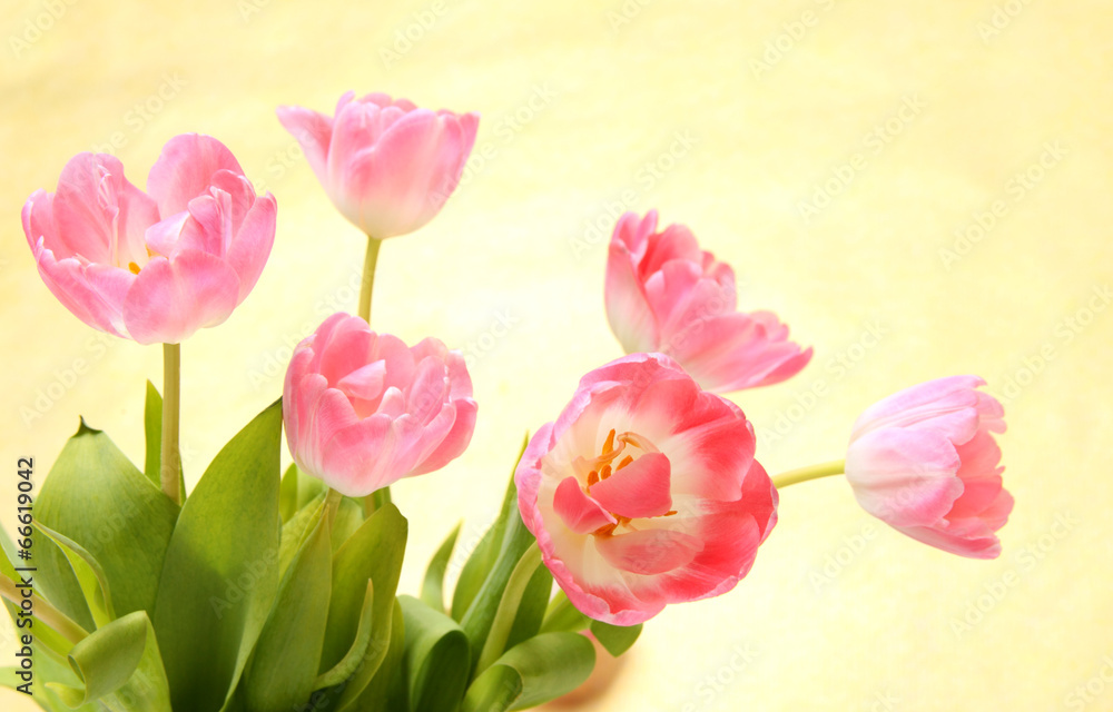 Fototapeta premium Blumen zum verschenken