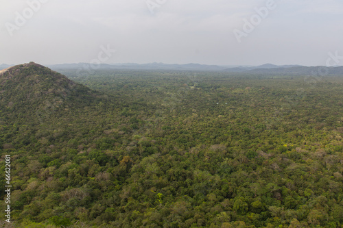 View from the Sigiriya rock in Sri Lanka