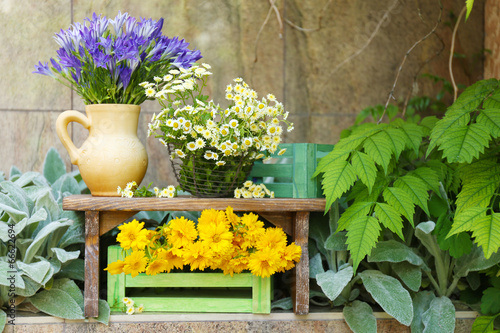 Fototapeta Naklejka Na Ścianę i Meble -  Garden decoration with wildflowers, outdoors