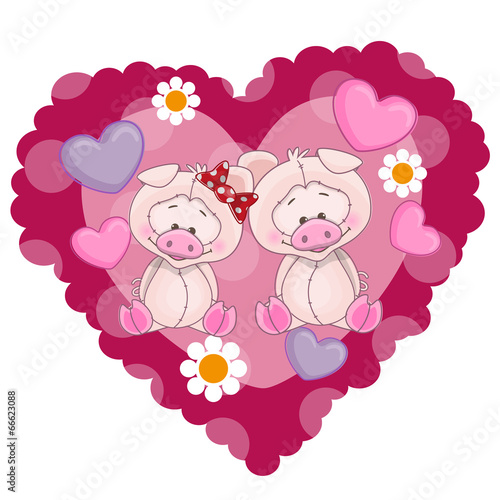 Two Pigs