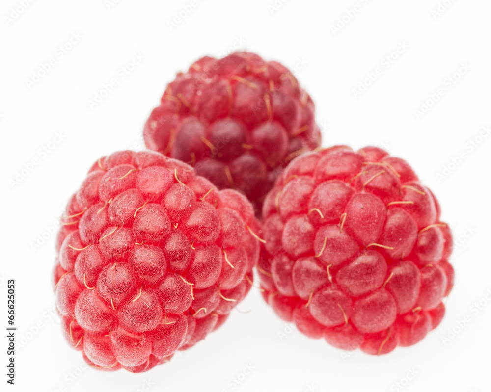 tree big red raspberries tree big red raspberries