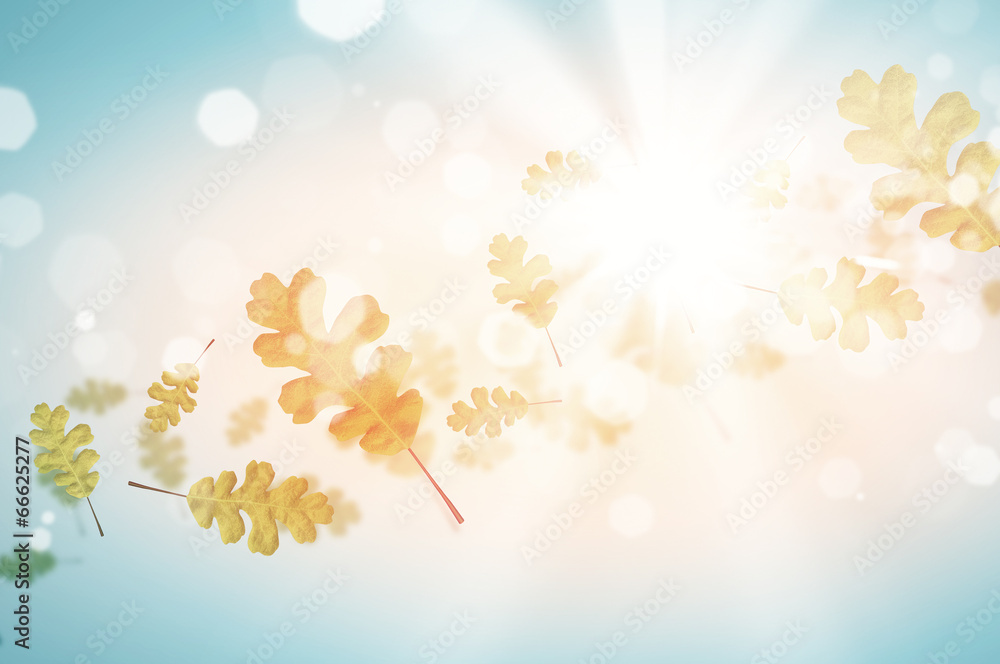Fototapeta premium Autumn background